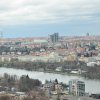 Pesachová výprava za hořkými bylinami 2015