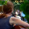 Tichý Hlas 2010